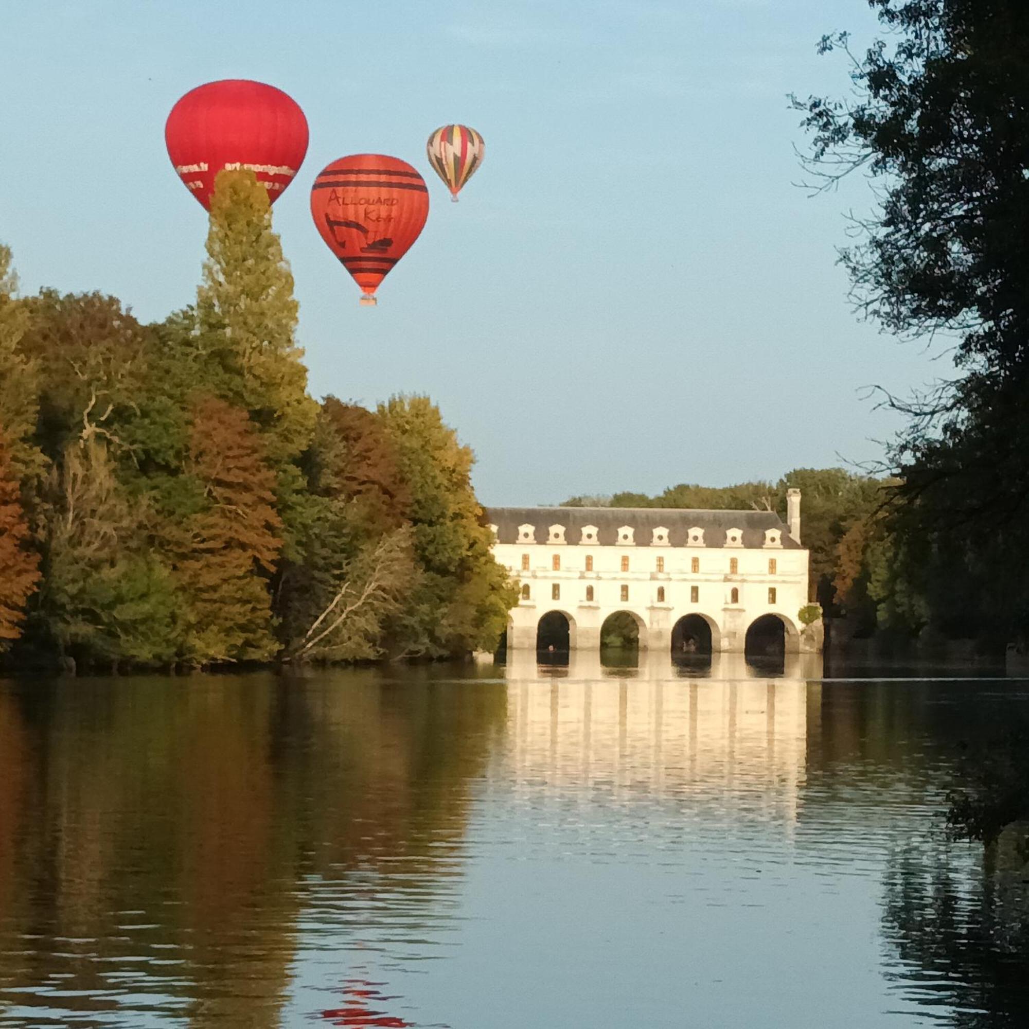 Au Nom Des Dames, Maison Et Table D'Hotes, Pres De Chenonceau Et Du Zoo De Beauval Faverolles-sur-Cher エクステリア 写真