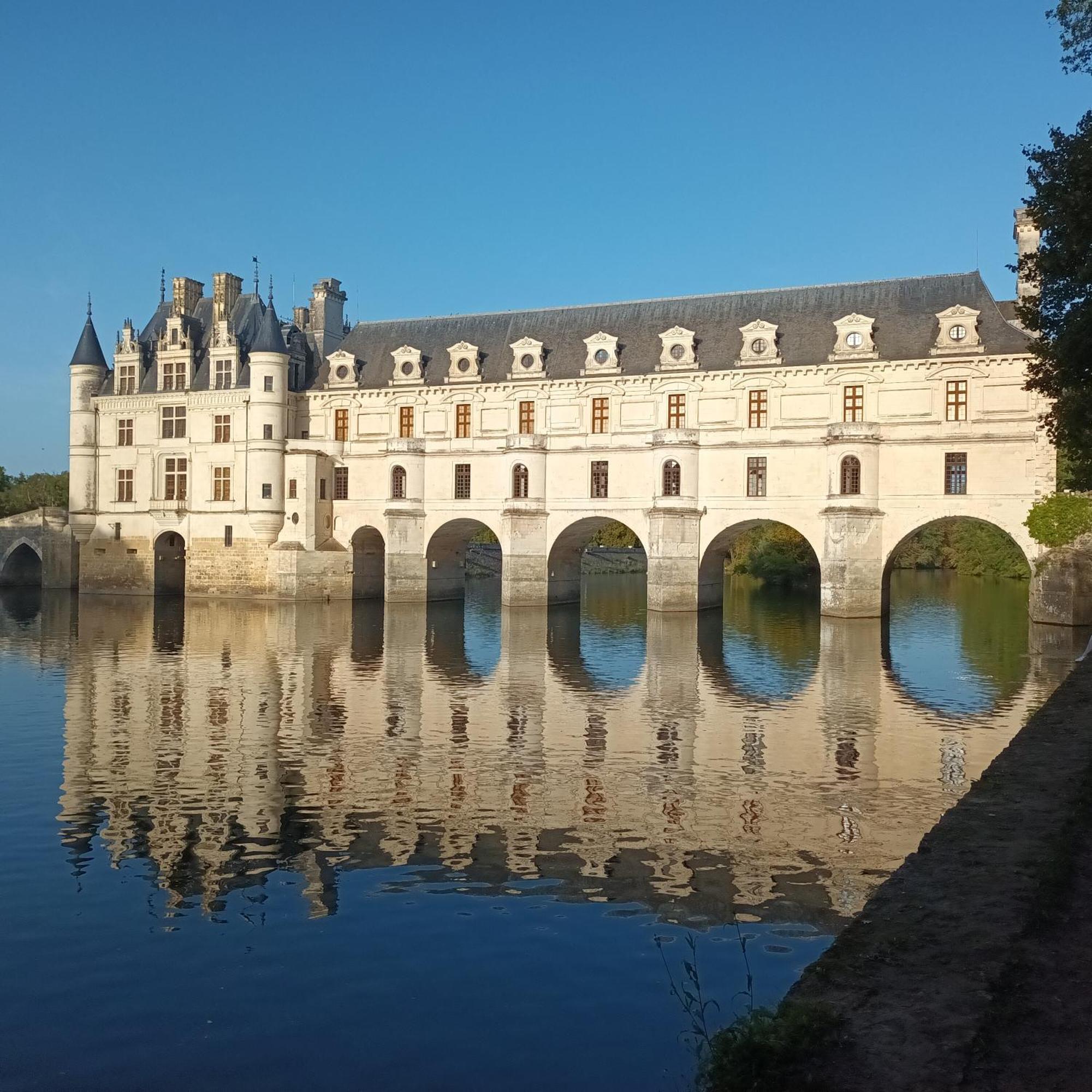Au Nom Des Dames, Maison Et Table D'Hotes, Pres De Chenonceau Et Du Zoo De Beauval Faverolles-sur-Cher エクステリア 写真